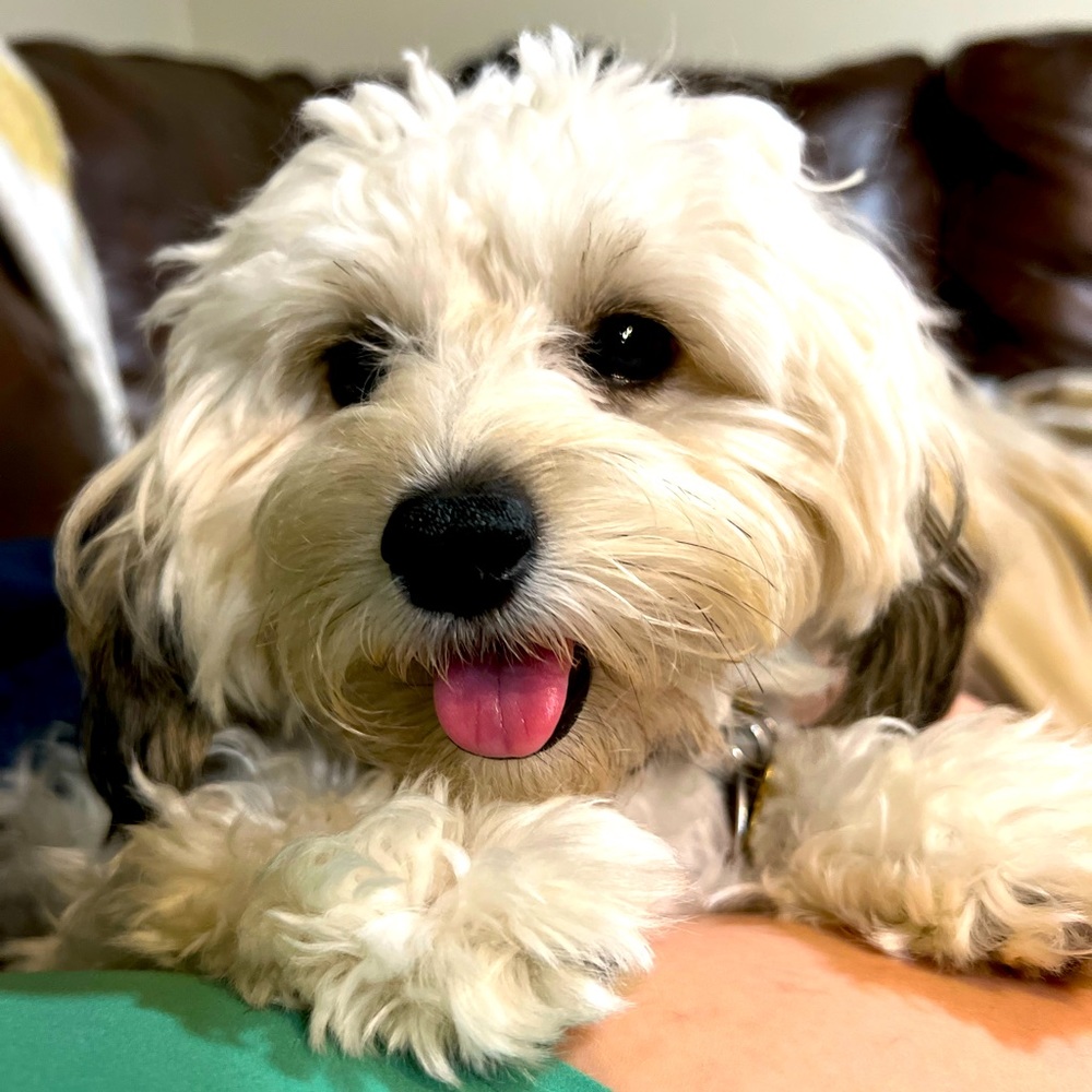 Meet your Posher, Kendra